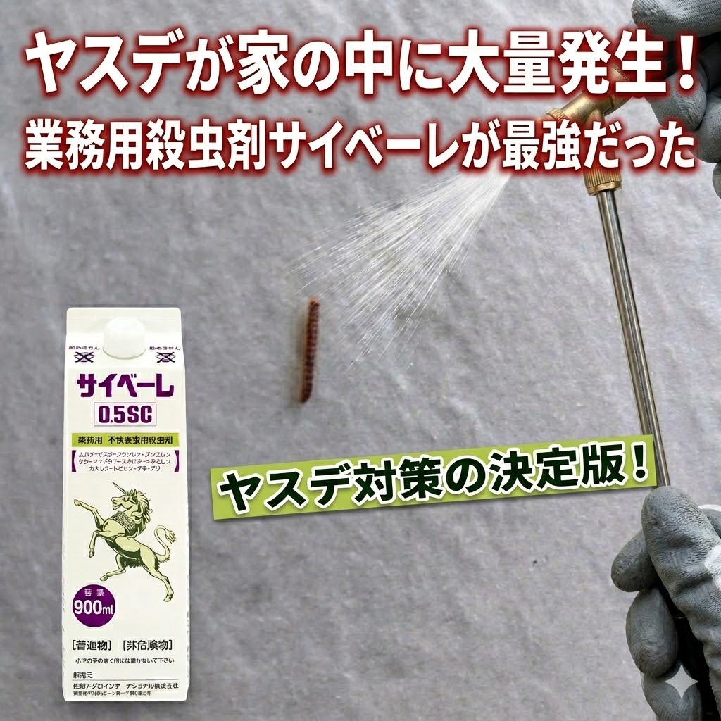 サイベーレ