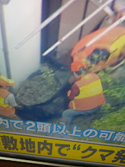 宇都宮熊捕獲